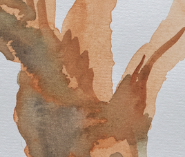 Aquarell Baumstamm