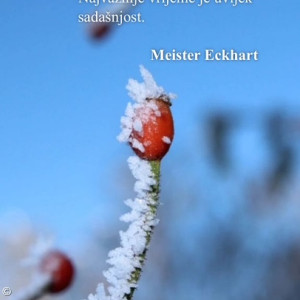 Demenz-App Post kroatisch